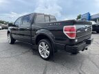 Thumbnail Photo 6 for 2013 Ford F150