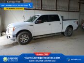New 2013 Ford F150