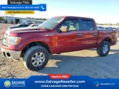 New 2013 Ford F150