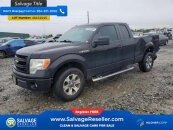 New 2013 Ford F150