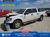 New 2013 Ford F150
