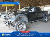 New 2013 Ford F150
