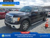 New 2013 Ford F150