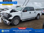 New 2013 Ford F150