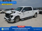 New 2013 Ford F150