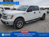 New 2013 Ford F150
