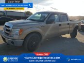 New 2013 Ford F150