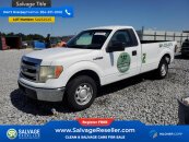 New 2013 Ford F150