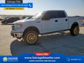 New 2013 Ford F150