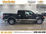 2013 Ford F150