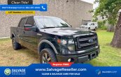 2013 Ford F150