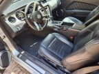 Thumbnail Photo 3 for 2013 Ford Mustang Convertible