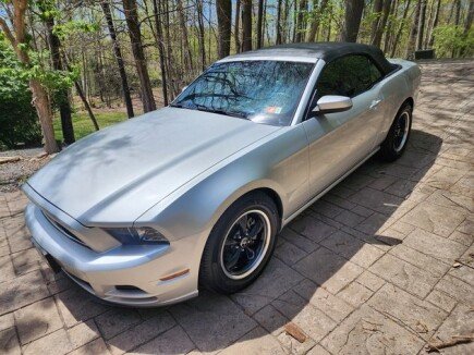 Photo 1 for 2013 Ford Mustang Convertible