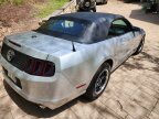 Thumbnail Photo 4 for 2013 Ford Mustang Convertible