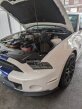 Thumbnail Photo 4 for 2013 Ford Mustang Shelby GT500