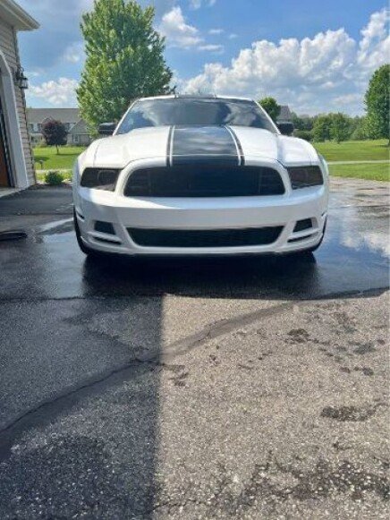 Photo 1 for 2013 Ford Mustang