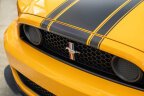 Thumbnail Photo 3 for 2013 Ford Mustang Boss 302