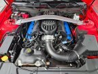Thumbnail Photo 2 for 2013 Ford Mustang Boss 302