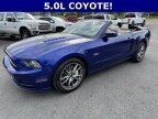 Thumbnail Photo 4 for 2013 Ford Mustang GT Premium