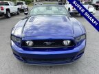 Thumbnail Photo 5 for 2013 Ford Mustang GT Premium