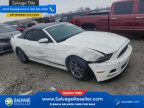 Thumbnail Photo 5 for New 2013 Ford Mustang Convertible