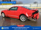 Thumbnail Photo 3 for New 2013 Ford Mustang Coupe