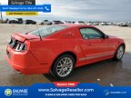 Thumbnail Photo 4 for New 2013 Ford Mustang Coupe