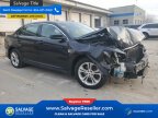 Thumbnail Photo 5 for New 2013 Ford Taurus