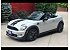 2013 MINI Cooper Roadster S