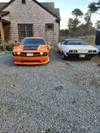 Thumbnail Photo 5 for 2014 Dodge Challenger