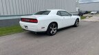 Thumbnail Photo 3 for 2014 Dodge Challenger