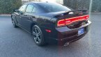 Thumbnail Photo 4 for 2014 Dodge Charger SXT Plus