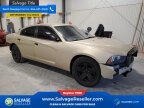 Thumbnail Photo 5 for New 2014 Dodge Charger