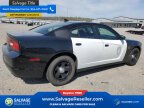 Thumbnail Photo 4 for New 2014 Dodge Charger