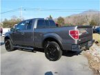 Thumbnail Photo 1 for 2014 Ford F150