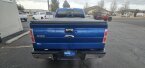 Thumbnail Photo 5 for 2014 Ford F150