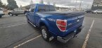 Thumbnail Photo 6 for 2014 Ford F150