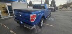 Thumbnail Photo 4 for 2014 Ford F150