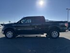 Thumbnail Photo 6 for 2014 Ford F150