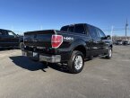 Thumbnail Photo 2 for 2014 Ford F150