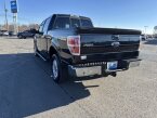 Thumbnail Photo 5 for 2014 Ford F150