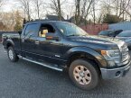 Thumbnail Photo 2 for 2014 Ford F150