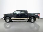 Thumbnail Photo 3 for 2014 Ford F150