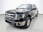 Thumbnail Photo 2 for 2014 Ford F150