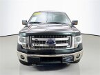 Thumbnail Photo 1 for 2014 Ford F150