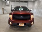 Thumbnail Photo 3 for 2014 Ford F150