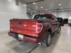 Thumbnail Photo 5 for 2014 Ford F150