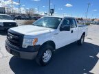 Thumbnail Photo 2 for 2014 Ford F150