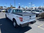 Thumbnail Photo 4 for 2014 Ford F150