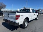 Thumbnail Photo 6 for 2014 Ford F150